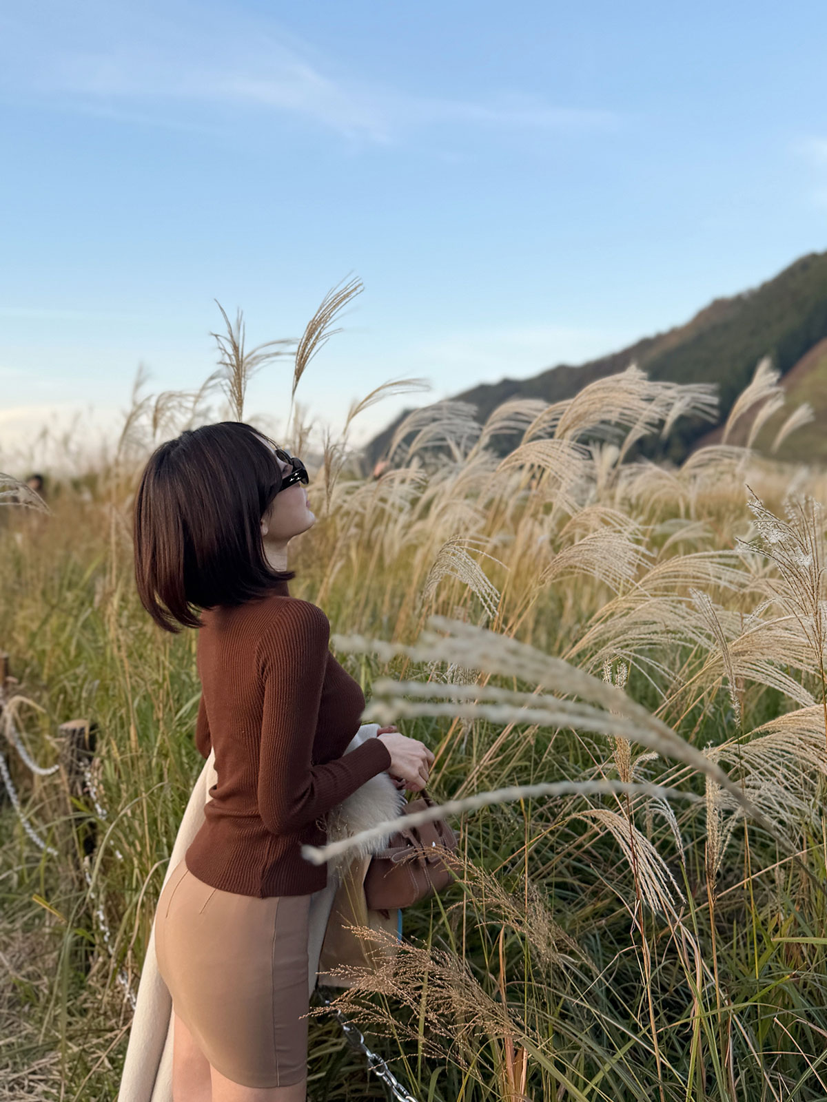  äϥͥå˥å 顼:֥åۥ磻ȡܥ꡼֥饦