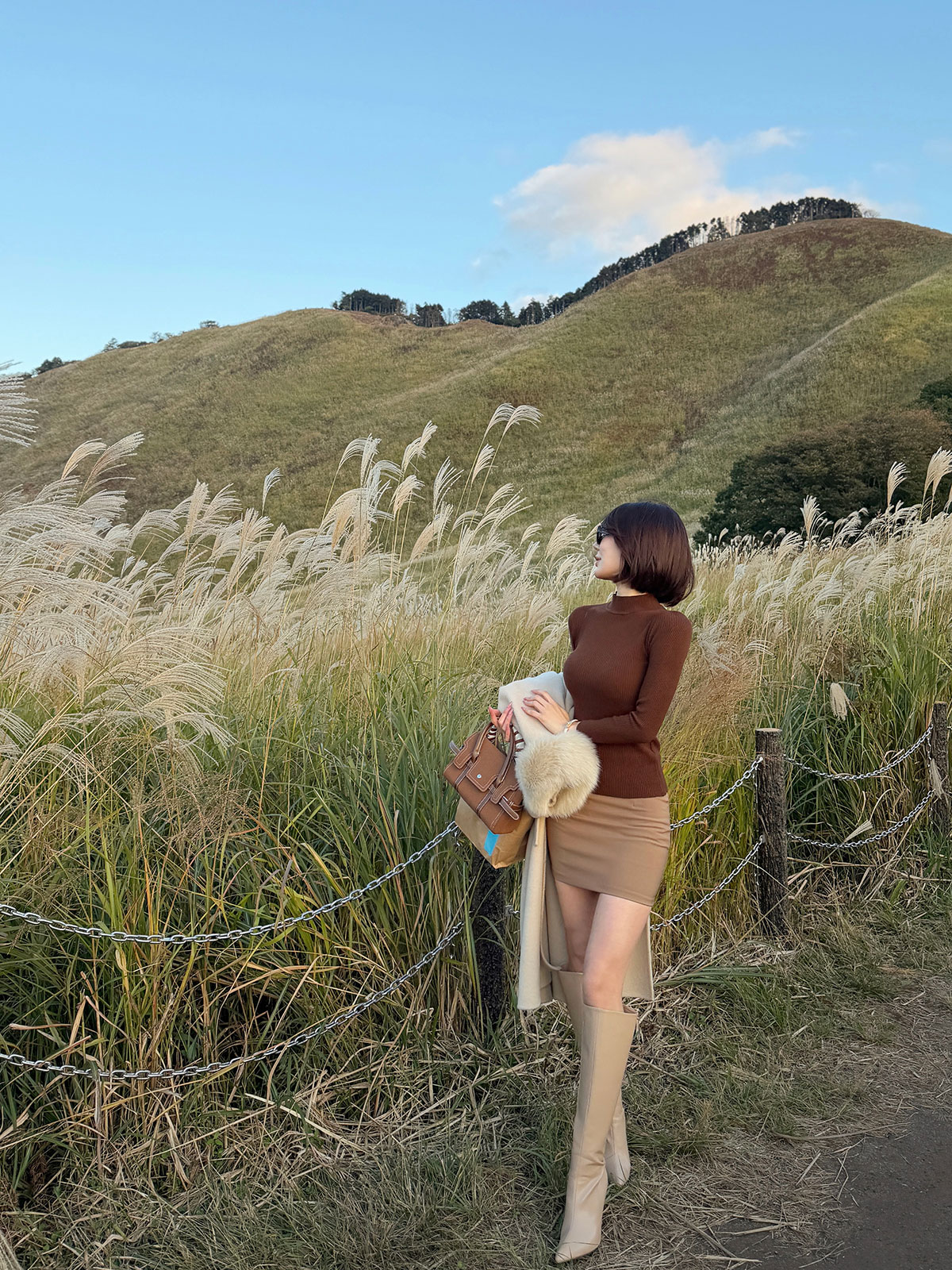  äϥͥå˥å 顼:֥åۥ磻ȡܥ꡼֥饦