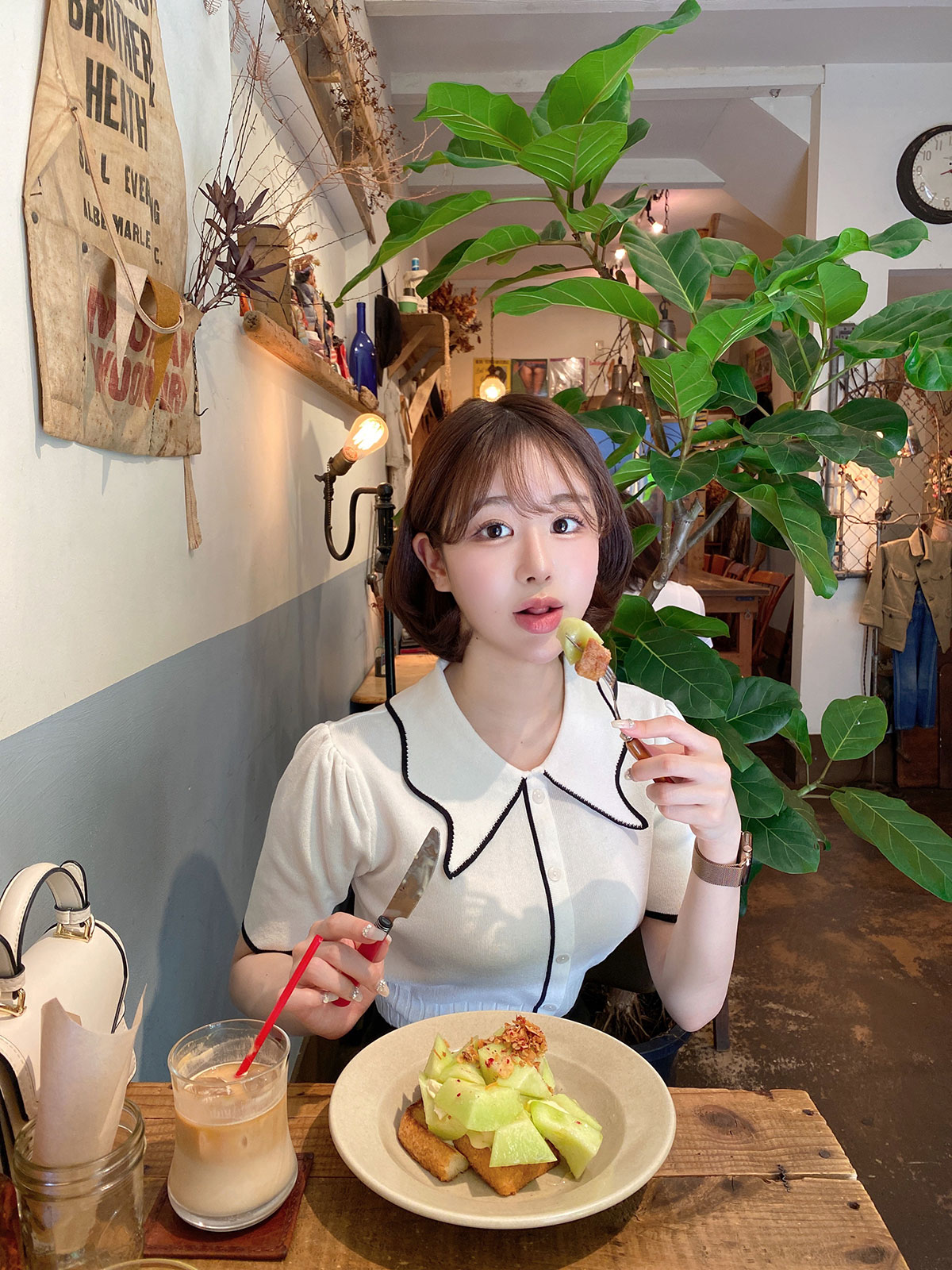  butterfly collar top 顼:֥åۥ磻