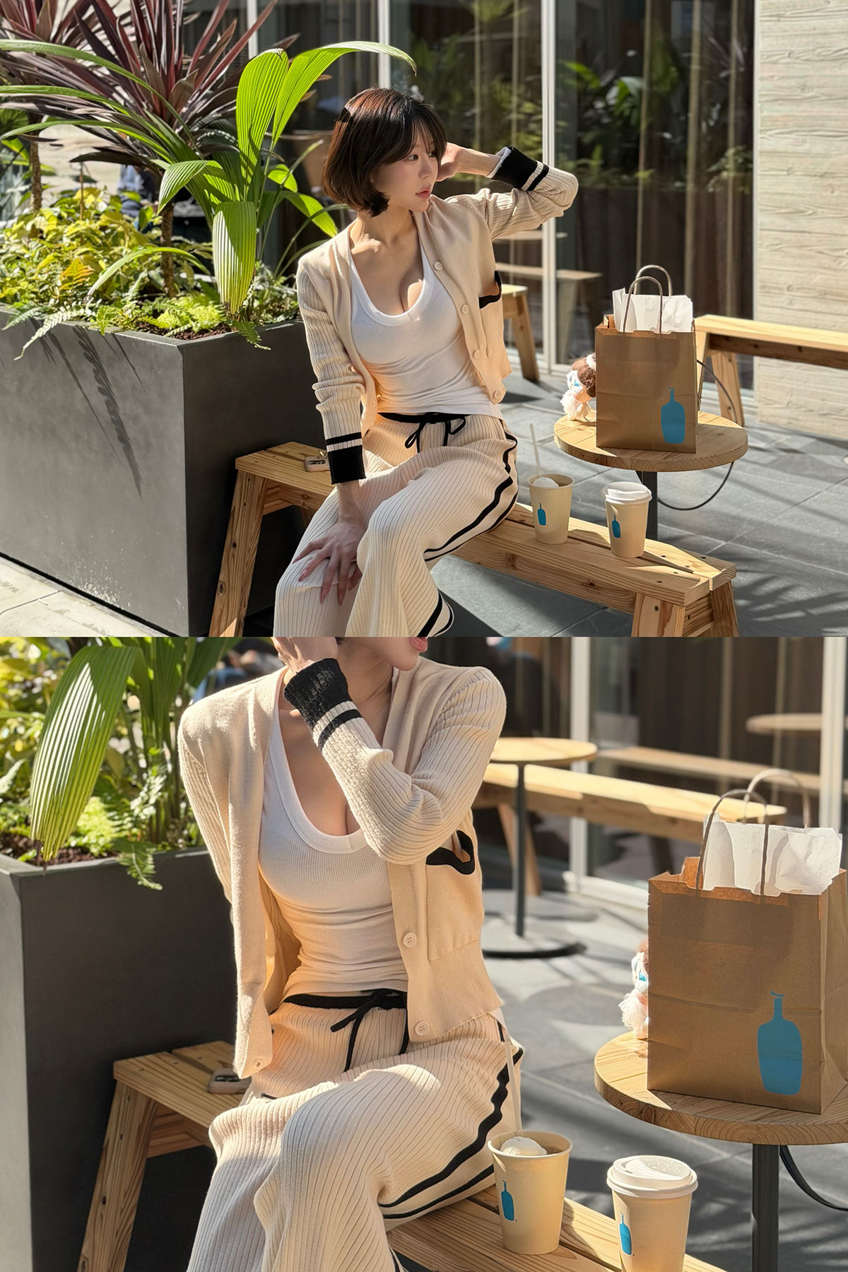  Vͥåեåȥǥ꡼T 顼:֥åۥ磻ȡ١塢졼