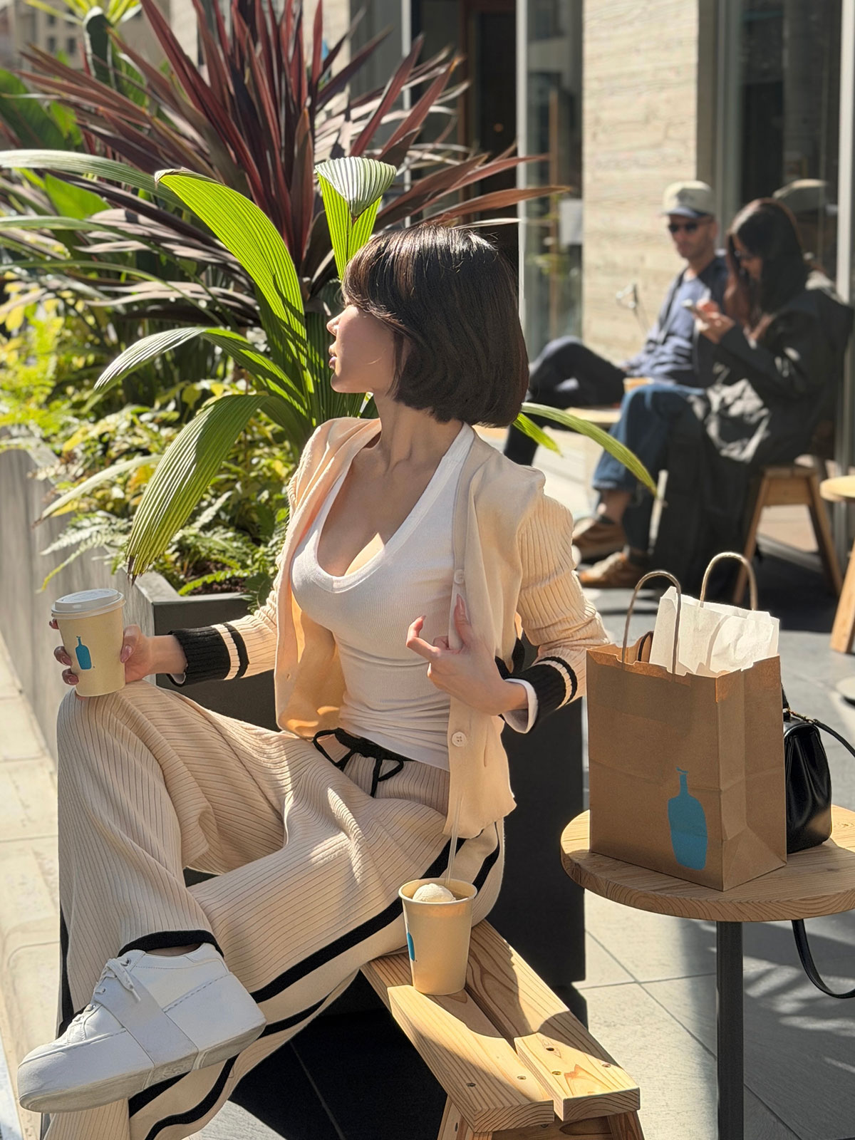  Vͥåեåȥǥ꡼T 顼:֥åۥ磻ȡ١塢졼