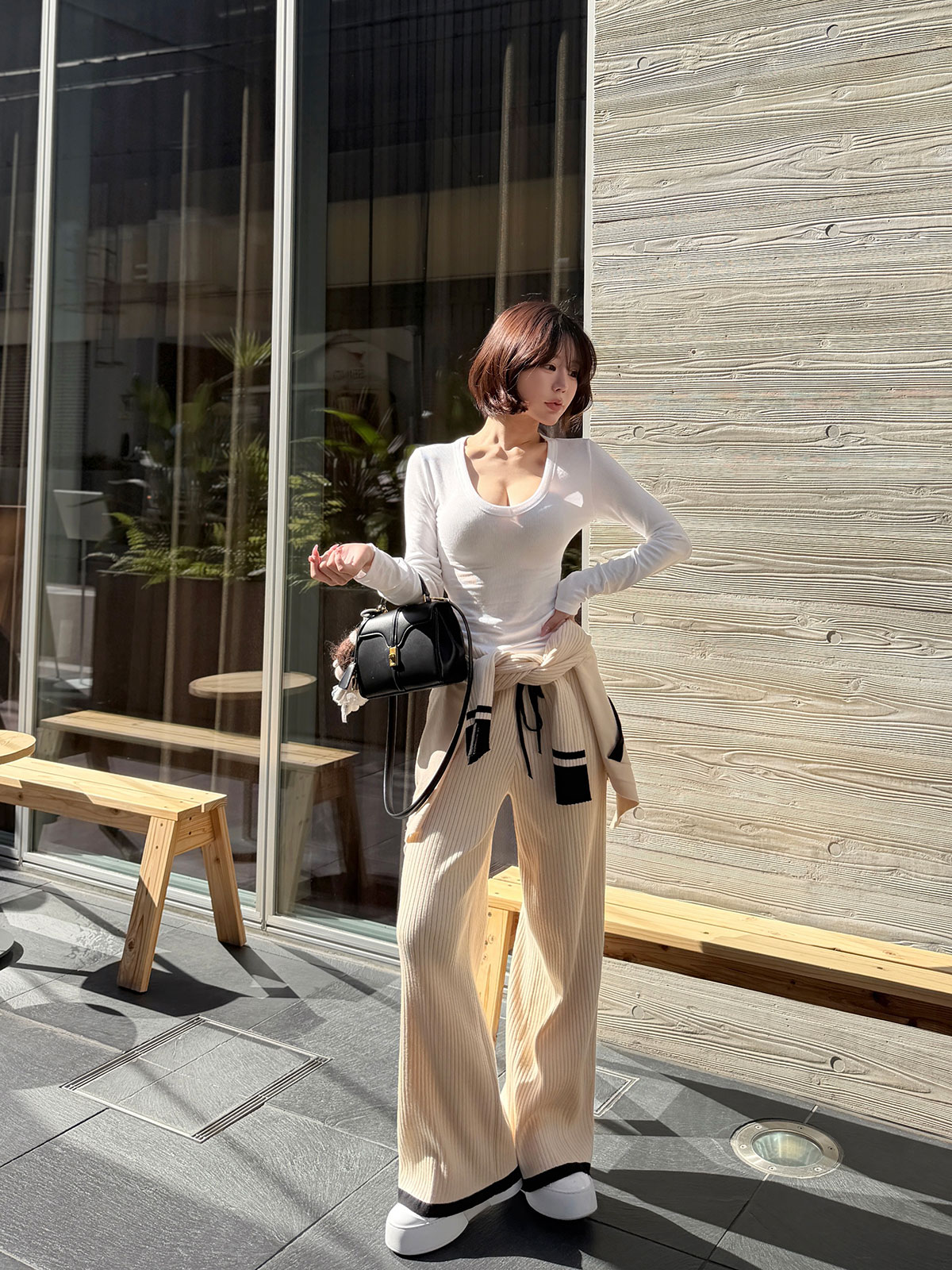  Vͥåեåȥǥ꡼T 顼:֥åۥ磻ȡ١塢졼