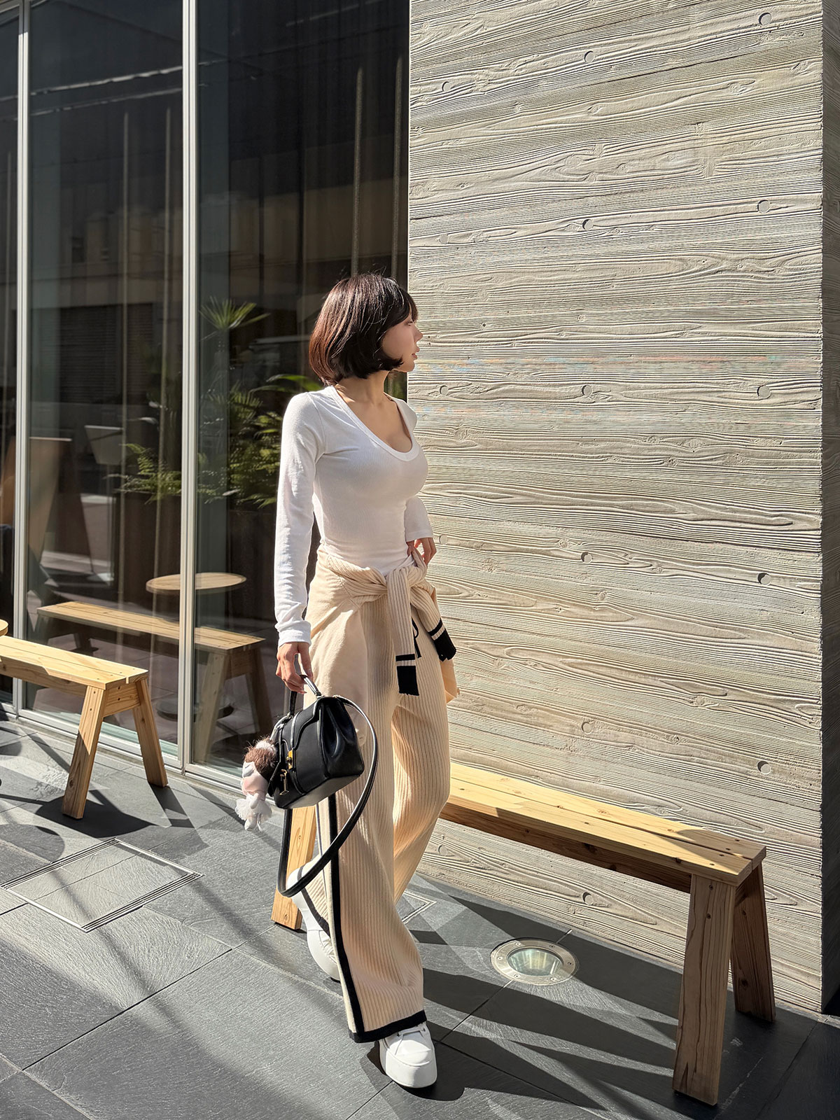  Vͥåեåȥǥ꡼T 顼:֥åۥ磻ȡ١塢졼