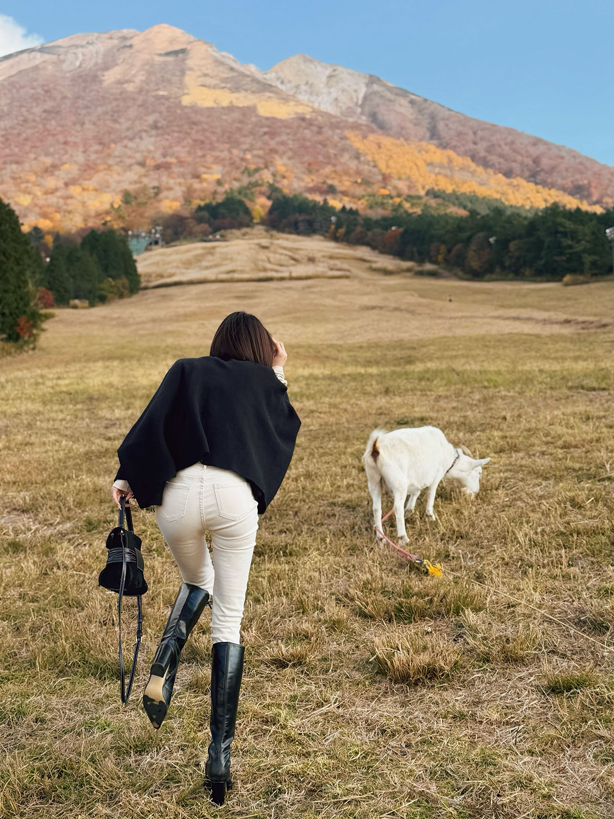  softեknit 顼:֥åȥߡ١