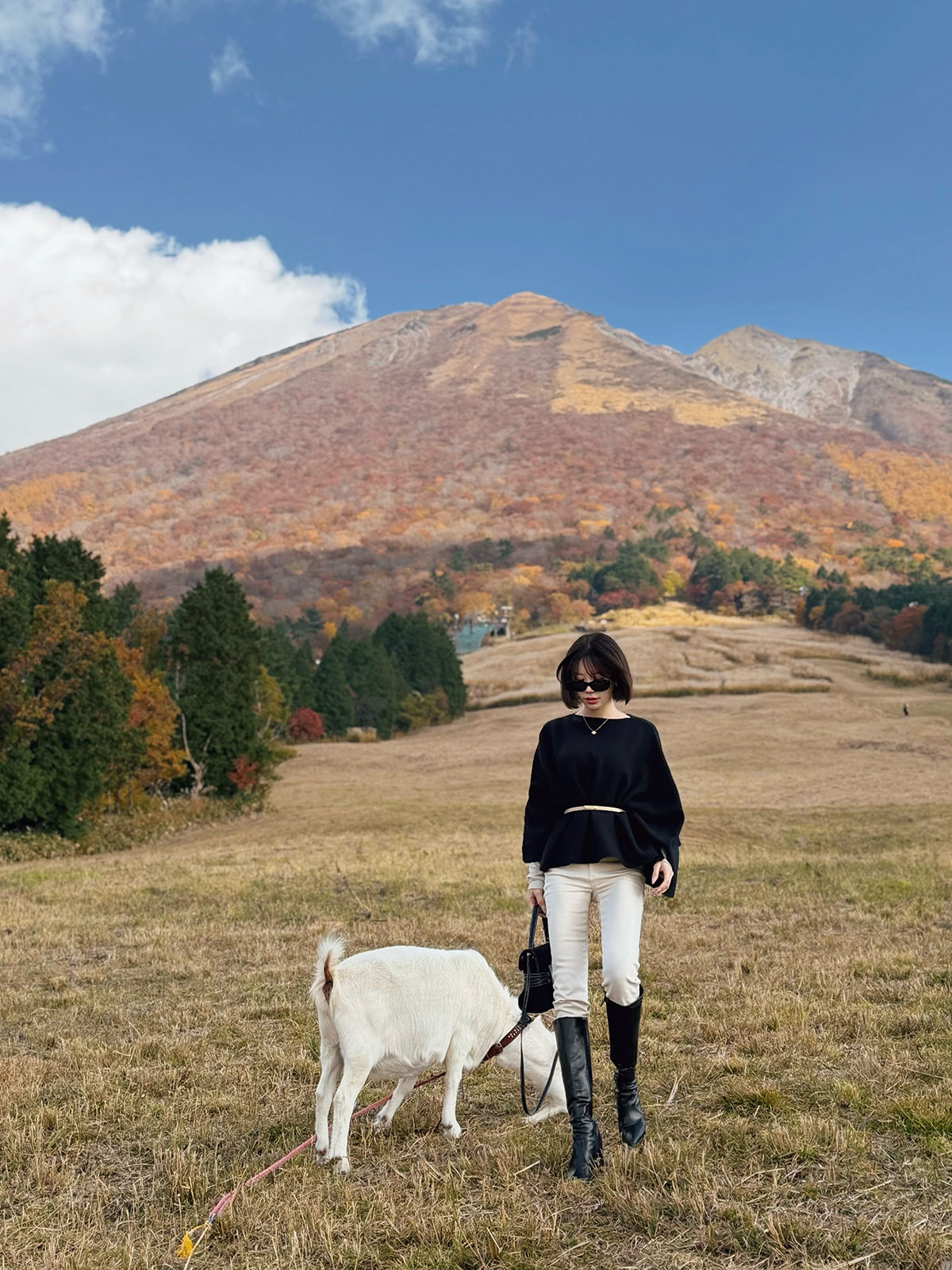  softեknit 顼:֥åȥߡ١