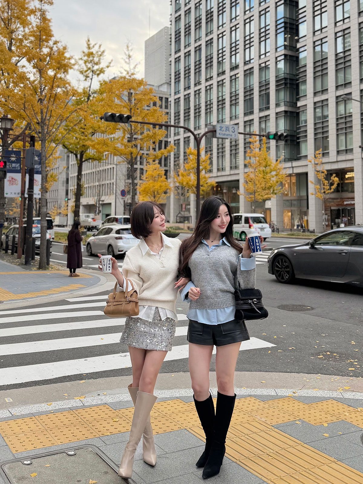 ���� �ɥå��󥰥����С����륨�åȥ����knit ���顼:�����ܥ꡼�����졼