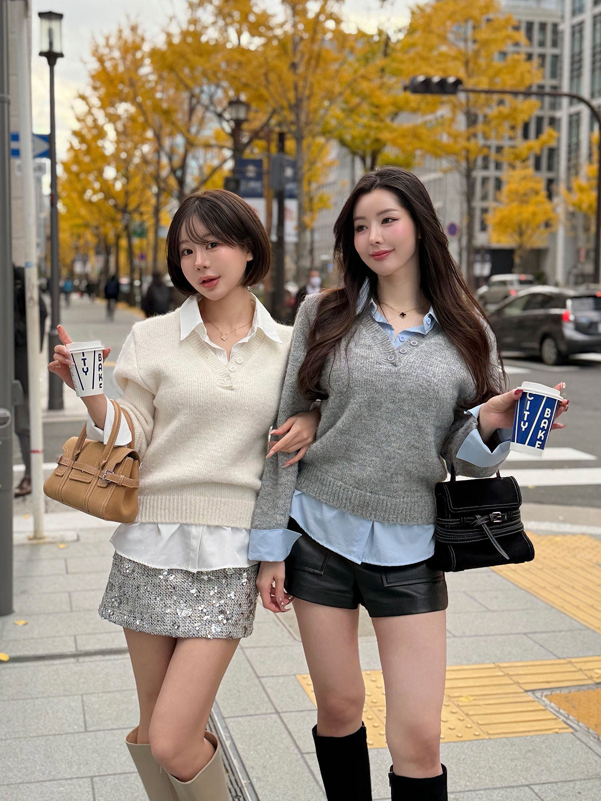 ���� �ɥå��󥰥����С����륨�åȥ����knit ���顼:�����ܥ꡼�����졼