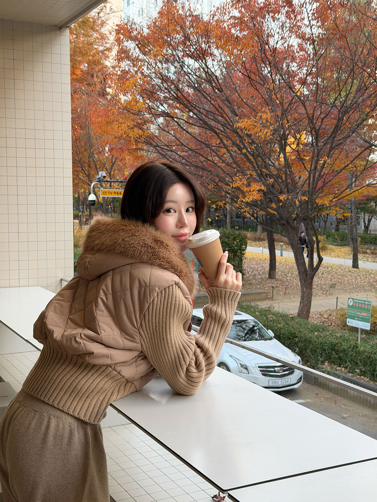 ���� ����ƥ��󥰥ե�åץɥå��󥰥����� ���顼:�֥�å��������ܥ꡼���١�����