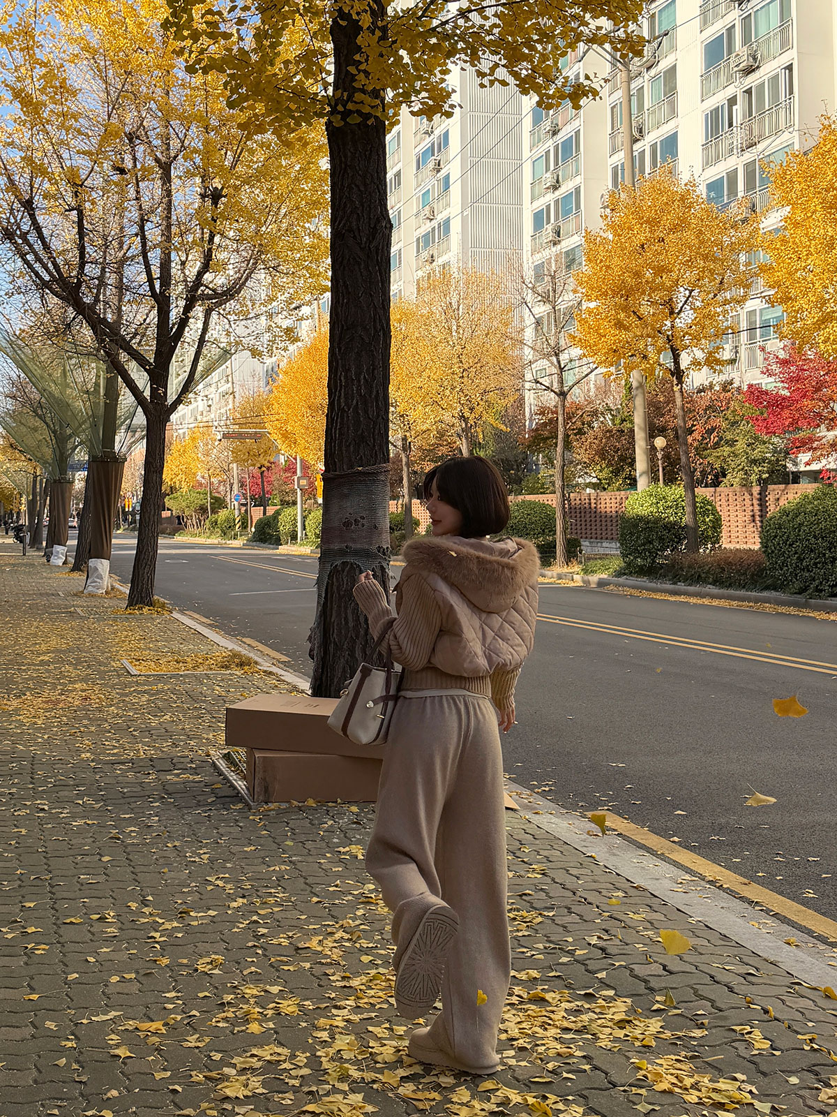 ���� ����ƥ��󥰥ե�åץɥå��󥰥����� ���顼:�֥�å��������ܥ꡼���١�����