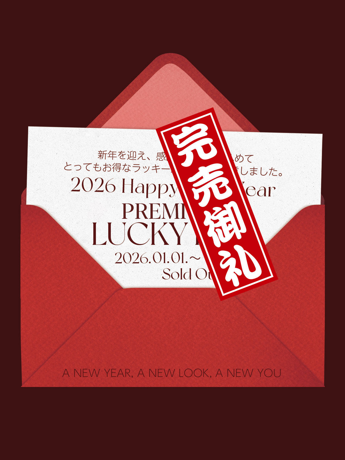 PREMIUM LUCKY BAG ���顼: �ޥ��