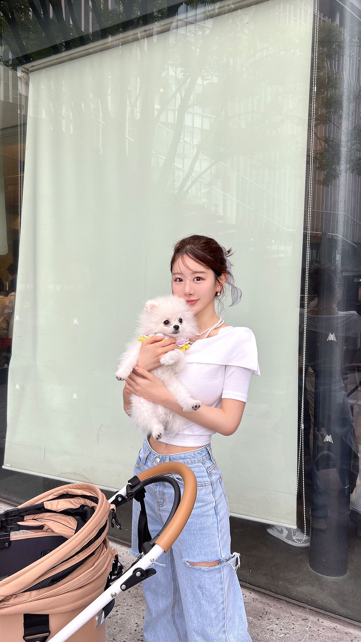 ɥ顼ǥ꡼T 顼: ͥӡۥ磻ȡ饤ȥԥ󥯡饤ȥ֥롼졼